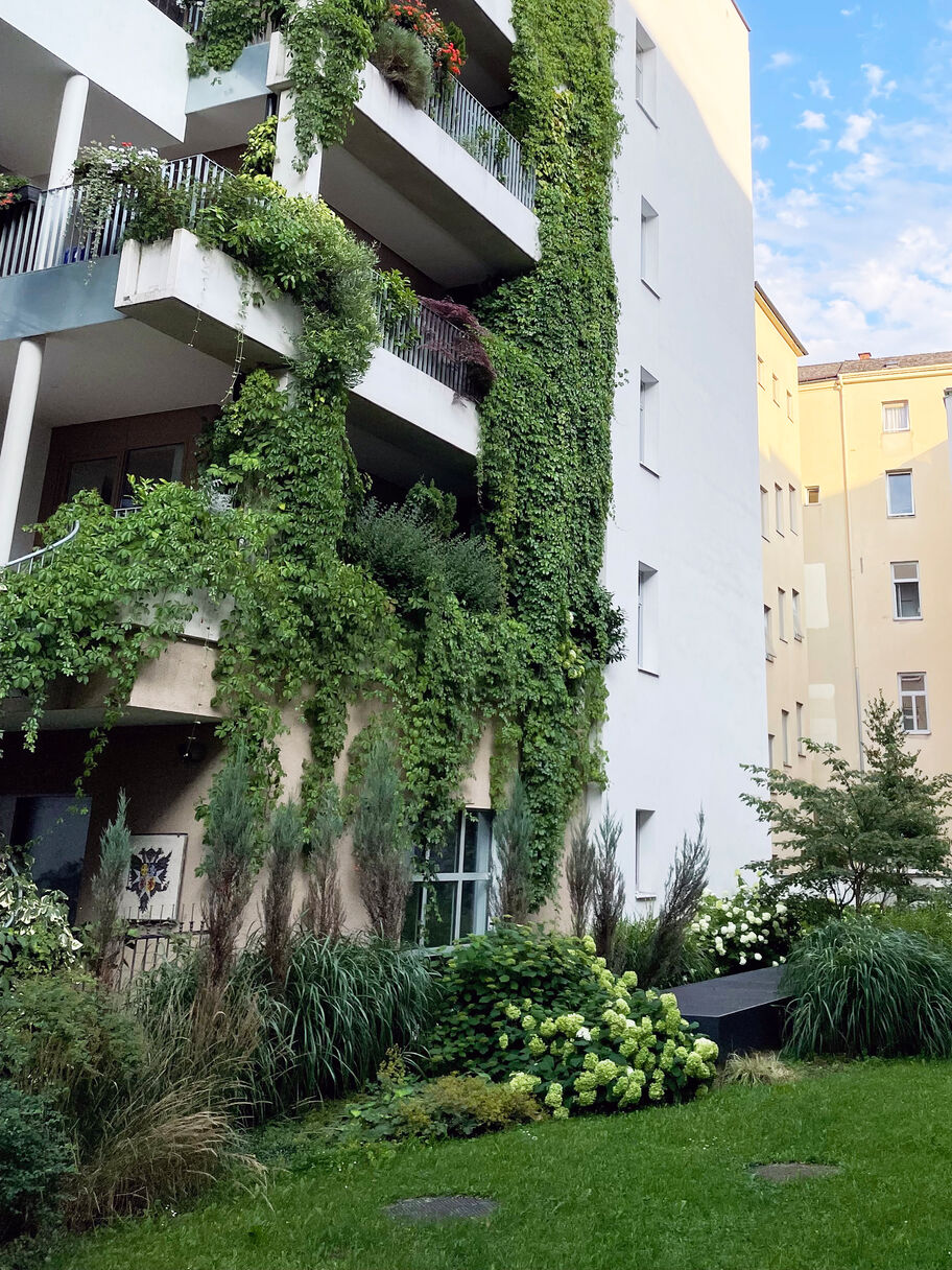 Herren IMG_0927 Kopie