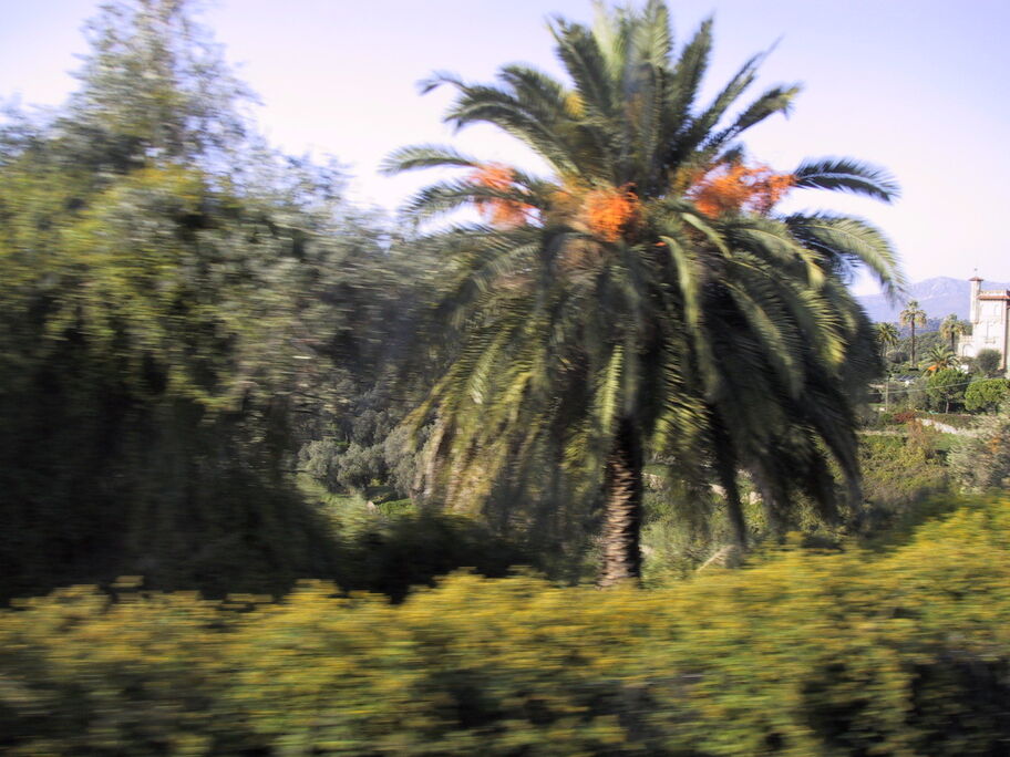 Poesie des Augenblicks 2025 02 02