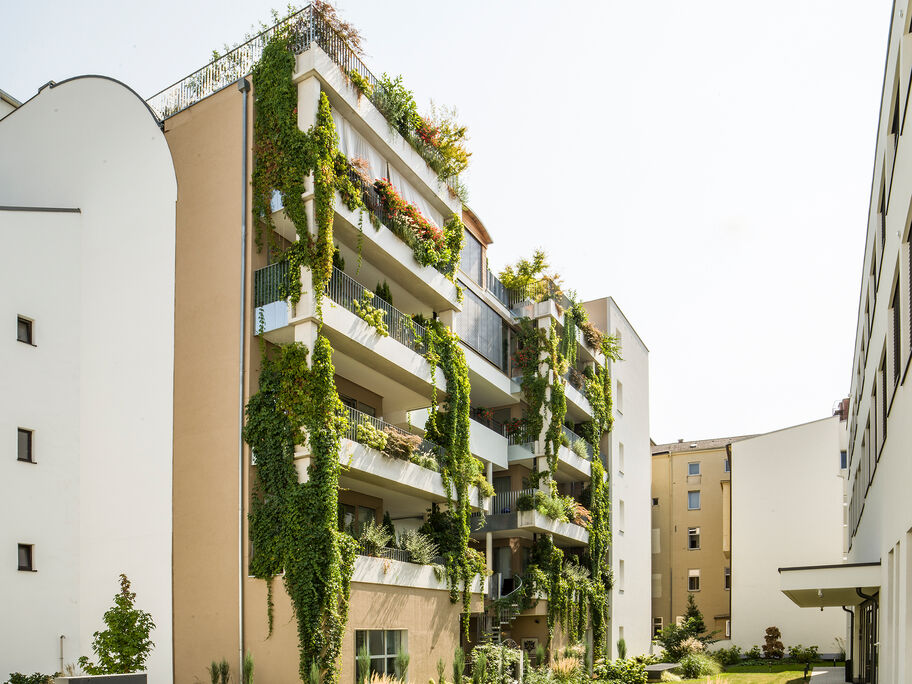 54 Referenzbild COVER