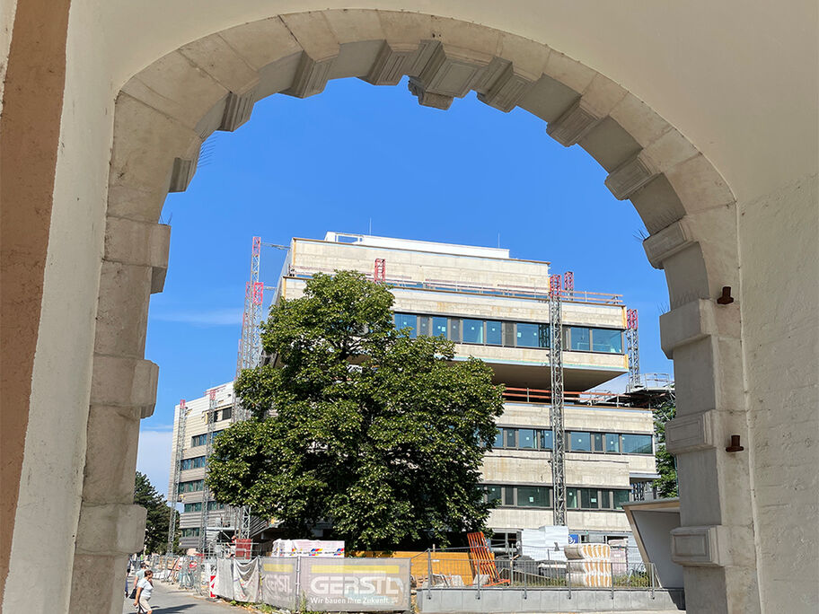 NBIM under const 20