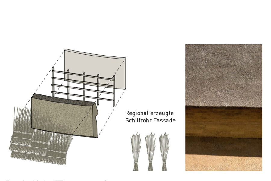 03 Schilffassade F