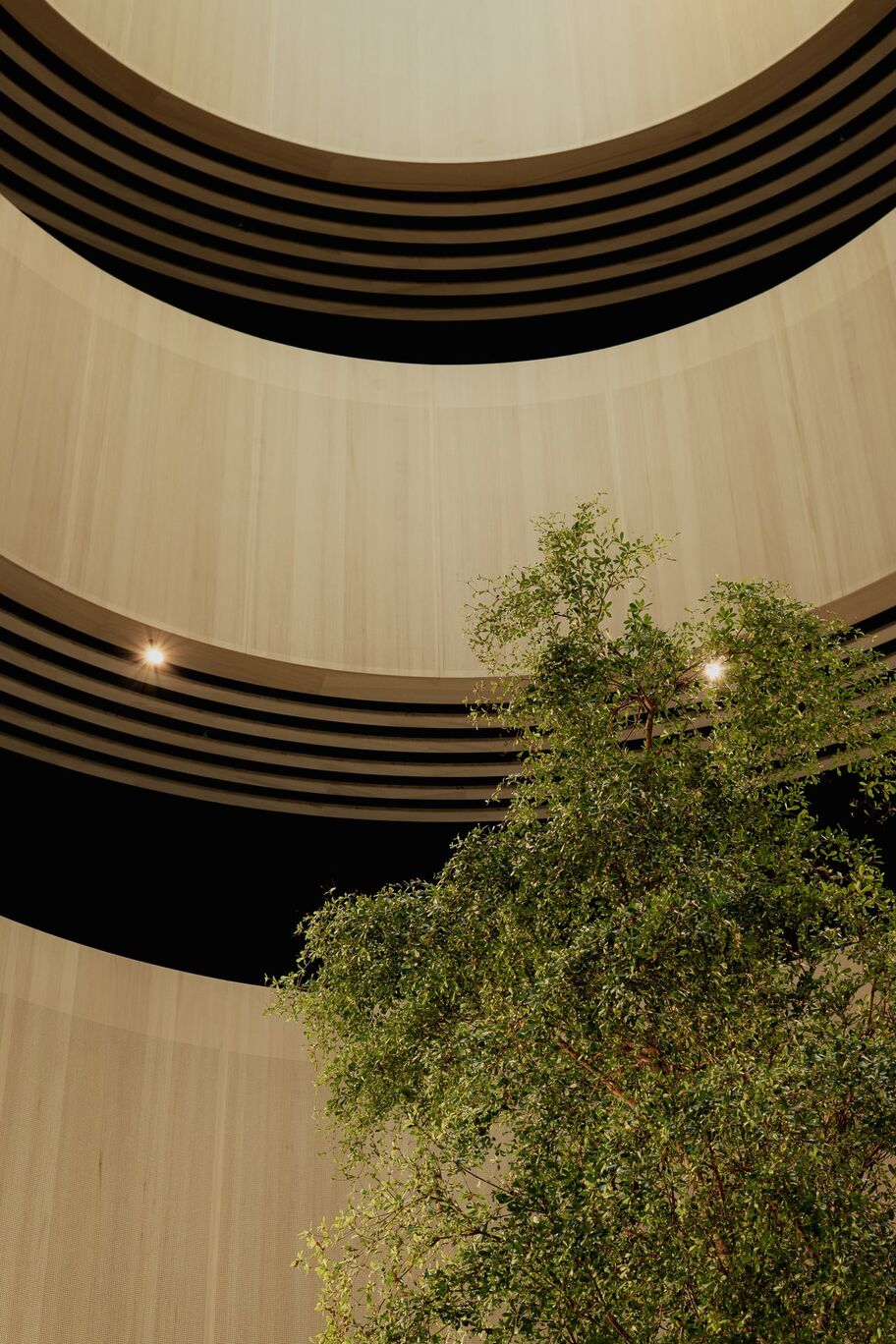 41 20260507-ALDI-©MW-Architekturfotografie GmbH-6